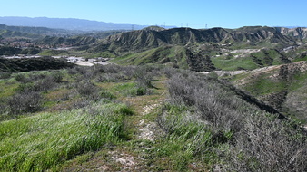 Enlarge photo 30