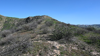 Enlarge photo 31