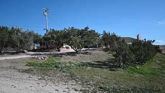 Enlarge photo 45