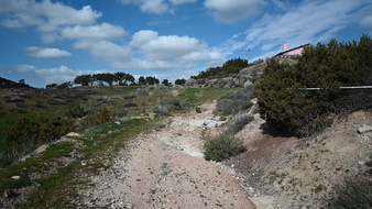 Enlarge photo 41