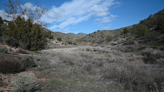 Enlarge photo 39