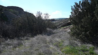 Enlarge photo 37