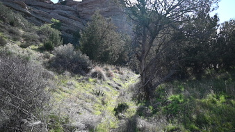 Enlarge photo 34