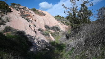 Enlarge photo 33