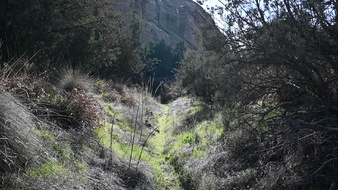 Enlarge photo 32