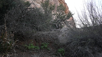 Enlarge photo 31