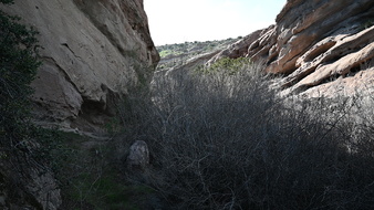Enlarge photo 30