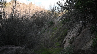 Enlarge photo 29