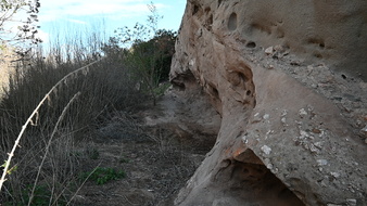 Enlarge photo 26