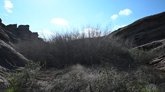 Enlarge photo 25