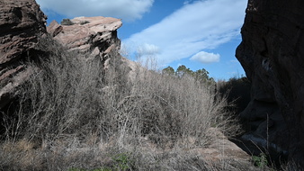 Enlarge photo 24