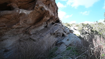 Enlarge photo 20