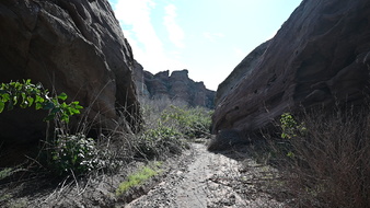 Enlarge photo 22