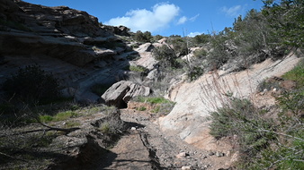 Enlarge photo 21