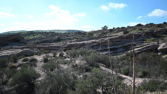 Enlarge photo 14
