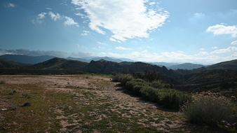 Enlarge photo 6