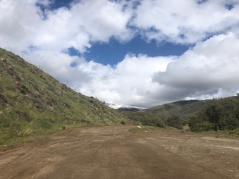 Enlarge photo 42