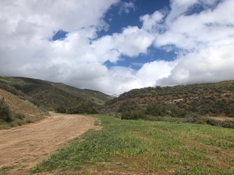 Enlarge photo 5