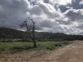 Enlarge photo 45