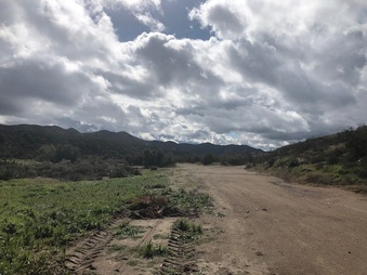 Enlarge photo 7