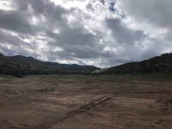 Enlarge photo 49