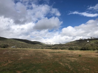 Enlarge photo 51