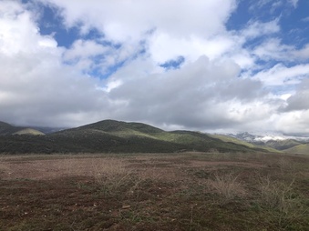 Enlarge photo 19