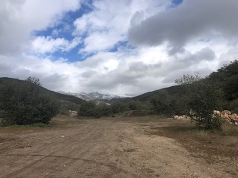 Enlarge photo 31