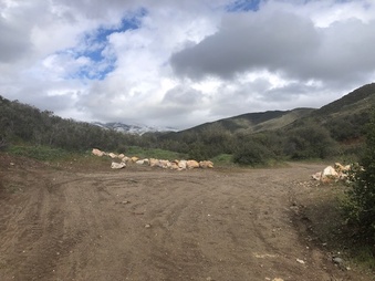 Enlarge photo 34