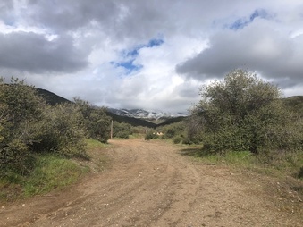 Enlarge photo 36