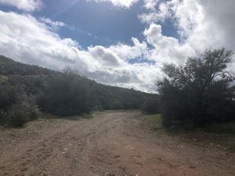 Enlarge photo 37