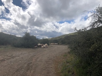 Enlarge photo 38
