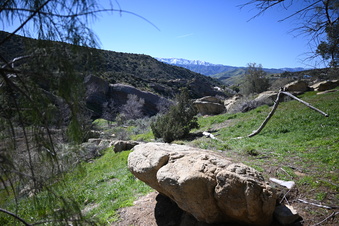 RIDGE 