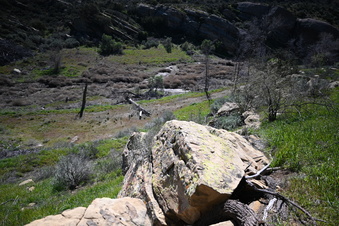 Enlarge photo 2