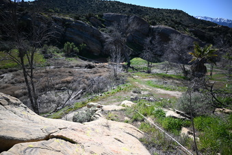 Enlarge photo 3