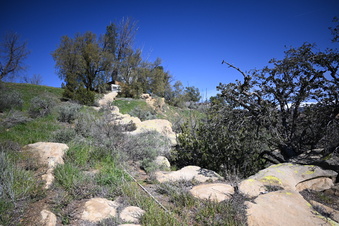 Enlarge photo 4