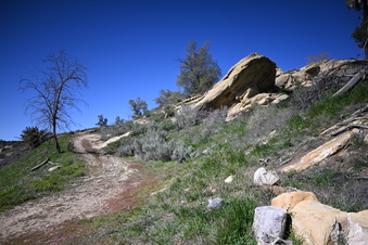 Enlarge photo 7