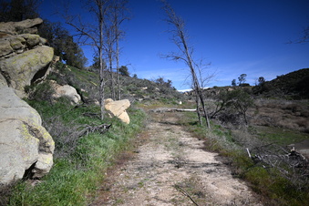 Enlarge photo 8