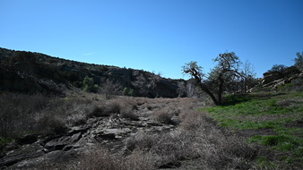 Enlarge photo 12