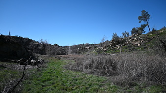 Enlarge photo 13