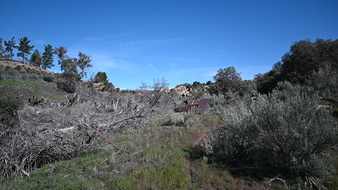 Enlarge photo 14