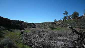 Enlarge photo 15
