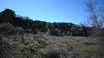 Enlarge photo 16