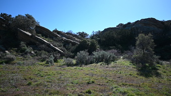 Enlarge photo 17