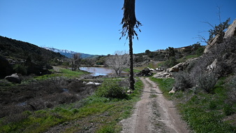 Enlarge photo 20