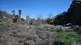 Enlarge photo 21