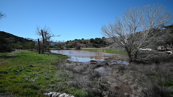 Enlarge photo 22