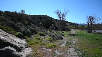 Enlarge photo 23