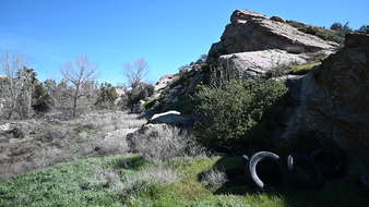 Enlarge photo 24