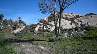 Enlarge photo 25